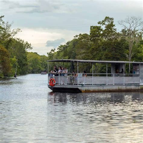 jean lafitte swamp tour promo code  Watch an alligator bask on a